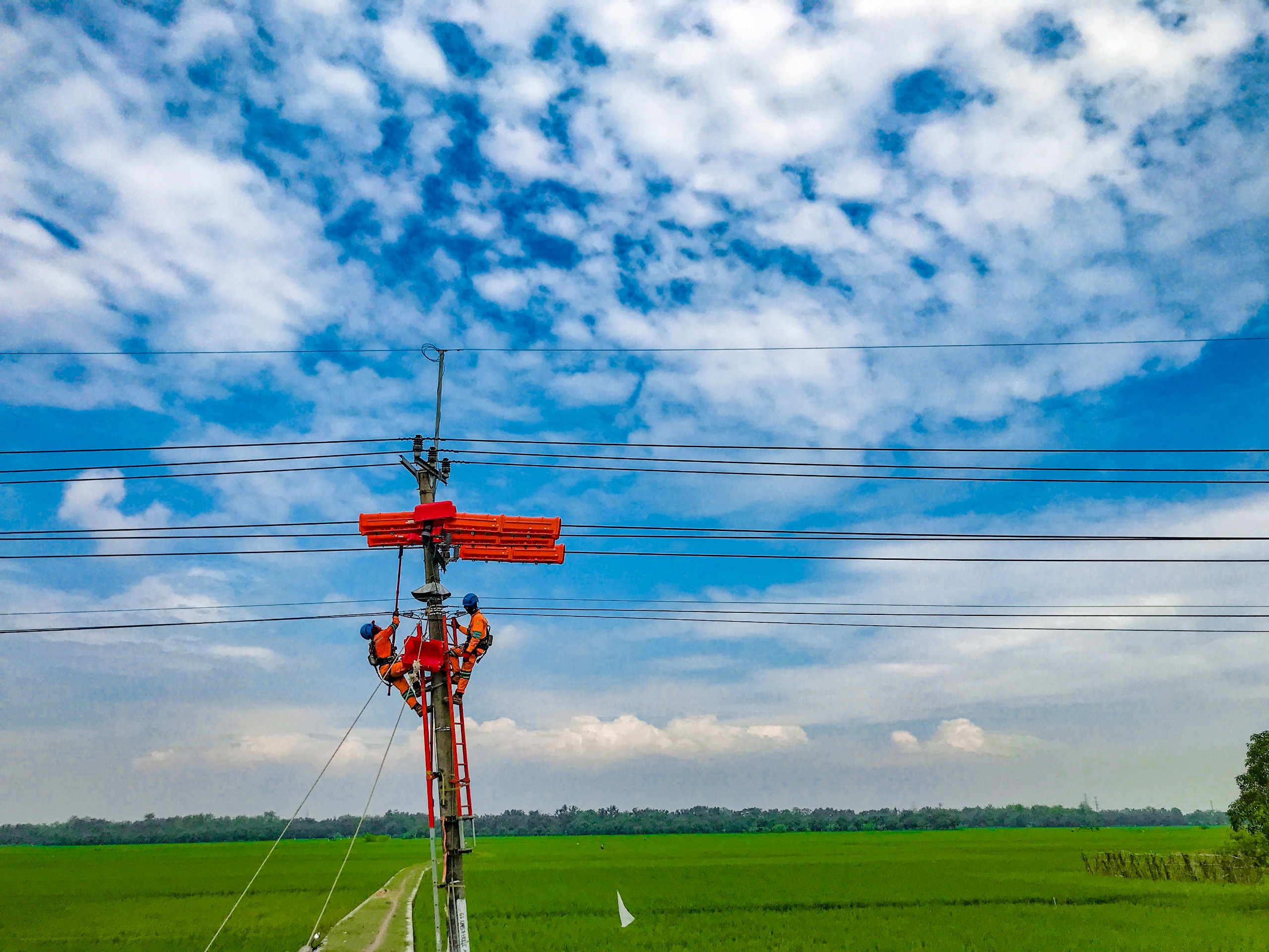 Pendapatan PLN Tembus Rp487 Triliun, Ditopang Peningkatan Penjualan Tenaga Listrik